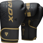 RDX Boxing Gloves