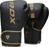 RDX Boxing Gloves